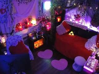 voyeurcam-veccasalt-01 webcam