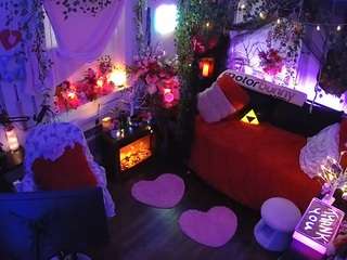 voyeurcam veccasalt 01