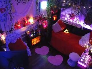 voyeurcam-veccasalt-01 webcam