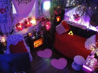 voyeurcam veccasalt 01