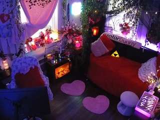 voyeurcam veccasalt 01