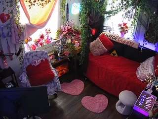 voyeurcam-veccasalt-01 webcam