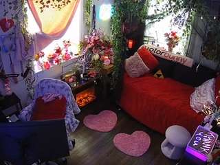 voyeurcam-veccasalt-01 webcam