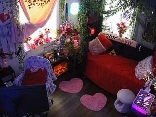 voyeurcam-veccasalt-01 webcam