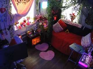 voyeurcam-veccasalt-01 webcam