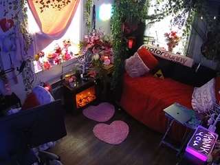 voyeurcam-veccasalt-01 webcam