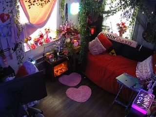 voyeurcam-veccasalt-01 webcam