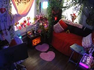 voyeurcam-veccasalt-01 webcam