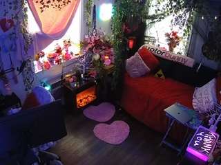 voyeurcam veccasalt 01