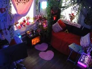 voyeurcam veccasalt 01