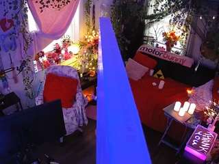 voyeurcam veccasalt 01