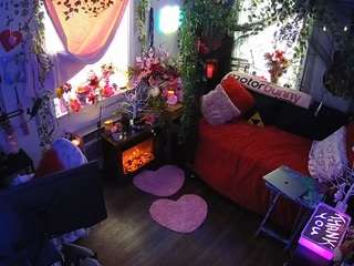 voyeurcam-veccasalt-01 webcam