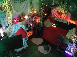 voyeurcam-veccasalt-01 webcam