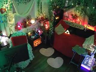 voyeurcam-veccasalt-01