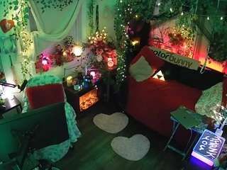 voyeurcam-veccasalt-01