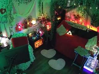 voyeurcam-veccasalt-01