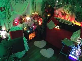 voyeurcam veccasalt 01