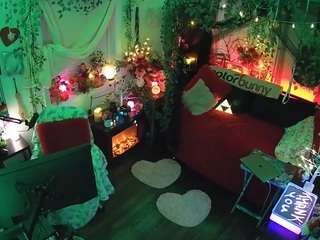 voyeurcam-veccasalt-01