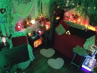 voyeurcam-veccasalt-01