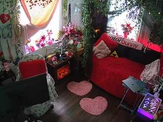 voyeurcam-veccasalt-01