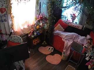 voyeurcam-veccasalt-01