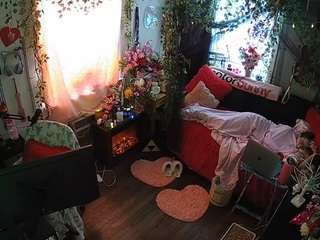 voyeurcam-veccasalt-01