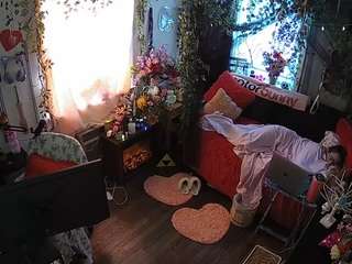 voyeurcam-veccasalt-01 webcam