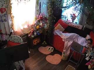 voyeurcam-veccasalt-01