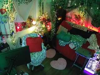 voyeurcam veccasalt 01