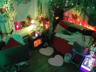 voyeurcam veccasalt 01