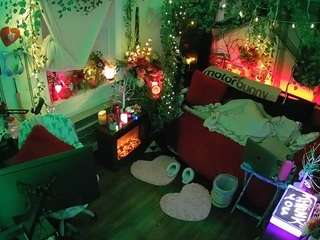 voyeurcam veccasalt 01