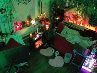 voyeurcam-veccasalt-01 webcam