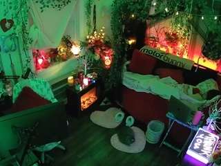 voyeurcam-veccasalt-01 webcam