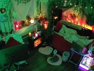 voyeurcam veccasalt 01