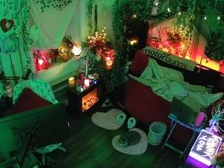 voyeurcam veccasalt 01