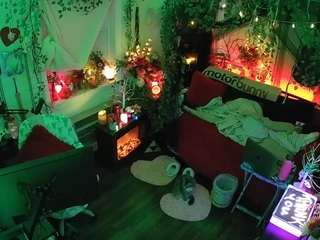 voyeurcam veccasalt 01