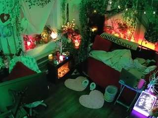 voyeurcam-veccasalt-01