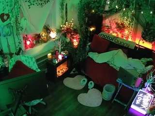 voyeurcam veccasalt 01