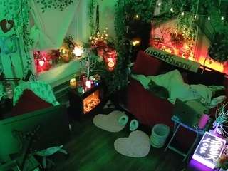 voyeurcam-veccasalt-01