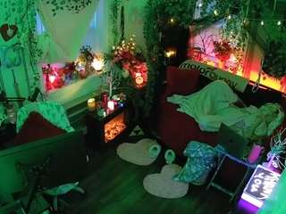 voyeurcam-veccasalt-01