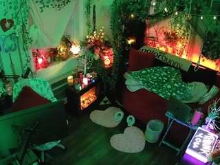 voyeurcam-veccasalt-01