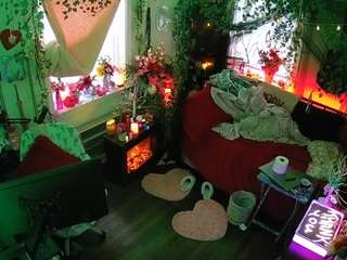 voyeurcam veccasalt 01