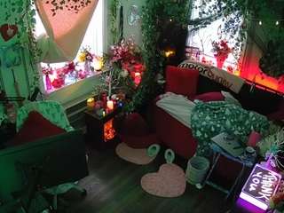 voyeurcam-veccasalt-01