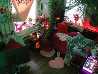 voyeurcam-veccasalt-01