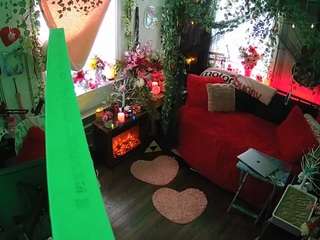 voyeurcam-veccasalt-01