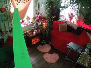 voyeurcam veccasalt 01