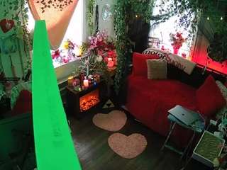 voyeurcam veccasalt 01