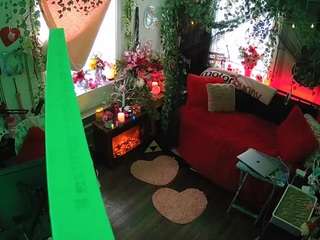 voyeurcam-veccasalt-01 webcam