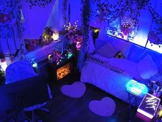 voyeurcam-veccasalt-01