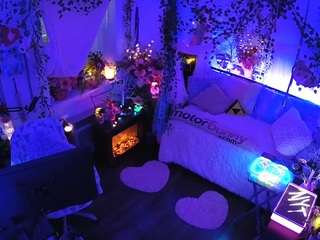 voyeurcam veccasalt 01